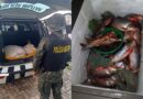Homem com 77 kg de Curimatã é autuado por pesca ilegal em Reriutaba