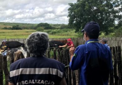 Com salários de até R$ 11,3 mil, inscrições para concurso da Adagri-CE terminam nesta terça (29)