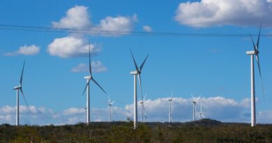 Guaraciaba do Norte e Carnaubal terão mega projeto eólico de R$ 2 bilhões