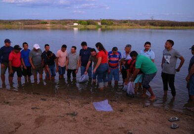 Prefeitura de Ipu realiza entrega de kits e peixamento em açude de São Bento