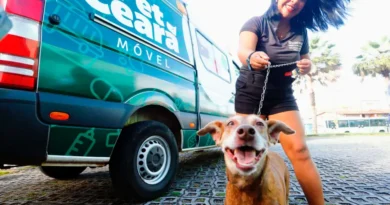 PET Ceará Móvel chega a Ipu com atendimentos gratuitos para cães e gato