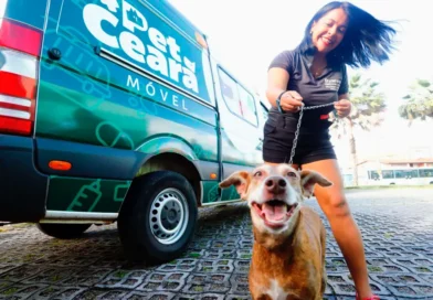 PET Ceará Móvel chega a Ipu com atendimentos gratuitos para cães e gato