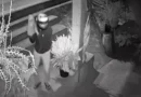 Criminosos arrombam casa com pedra gigante e matam morador a tiros em Viçosa do Ceará