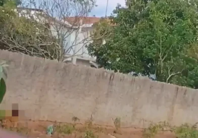 Internauta denuncia suposto abuso contra cadela na localidade de Santana, em Ipu