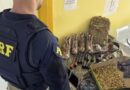 Dois são presos transportando arma e munição para o Comando Vermelho do Rio para Guaraciaba do Norte (CE)