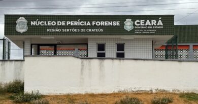 Homem é encontrado sem vida após cair dentro de chiqueiro e ser atacado por porcos em Ipueiras