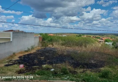 Morador denuncia queimadas irregulares na Rua Cecília Rodrigues, em Boa Vista