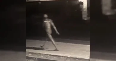 Furto de plantas é registrado na Polícia Civil em Ipu; prejuízo é estimado em R$ 1 mil