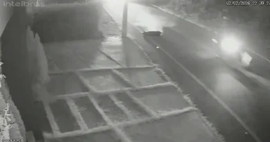 Motociclista cai após atropelar porco solto na Avenida Manoel Assis, em Ipu