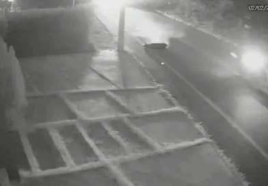 Motociclista cai após atropelar porco solto na Avenida Manoel Assis, em Ipu