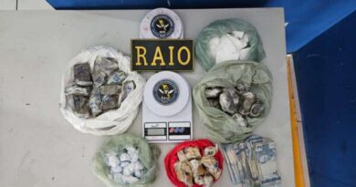 Após denúncia anônima, PMCE apreende quase 2 kg de drogas em terreno baldio em Ubajara