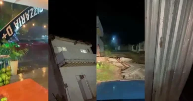 Chuva e ventania provocam queda de árvores e danos em imóveis em Ipu