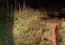 Dois corpos são encontrados crivados de bala dentro de cercado, em Varjota