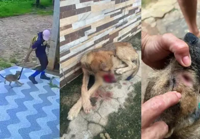 Homem é flagrado atingindo cachorra com foice no bairro Pereiros, em Ipu