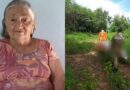 Idosa de 75 anos morre após ser atacada por enxame de abelhas em Ararendá