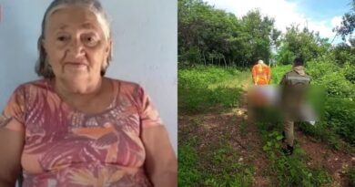 Idosa de 75 anos morre após ser atacada por enxame de abelhas em Ararendá