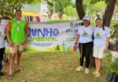 Prefeitura de Ipu realiza distribuição de mudas durante o Junho Ambiental 2026