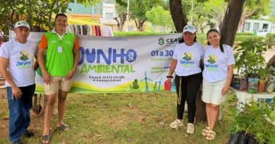 Prefeitura de Ipu realiza distribuição de mudas durante o Junho Ambiental 2026
